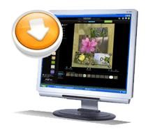 ButtonBigDwnloadMonitor