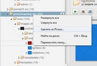 Исключение дерева папок из Google Picasa